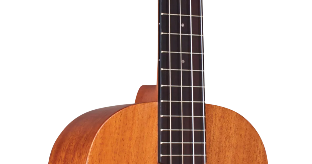 新作揃え GUCLCOR-03943_Product 弦楽器、ギター